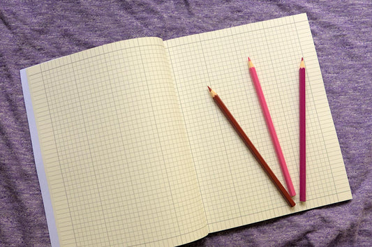 Notebook for Cat Lovers: Big Size, Graph Paper/Grid