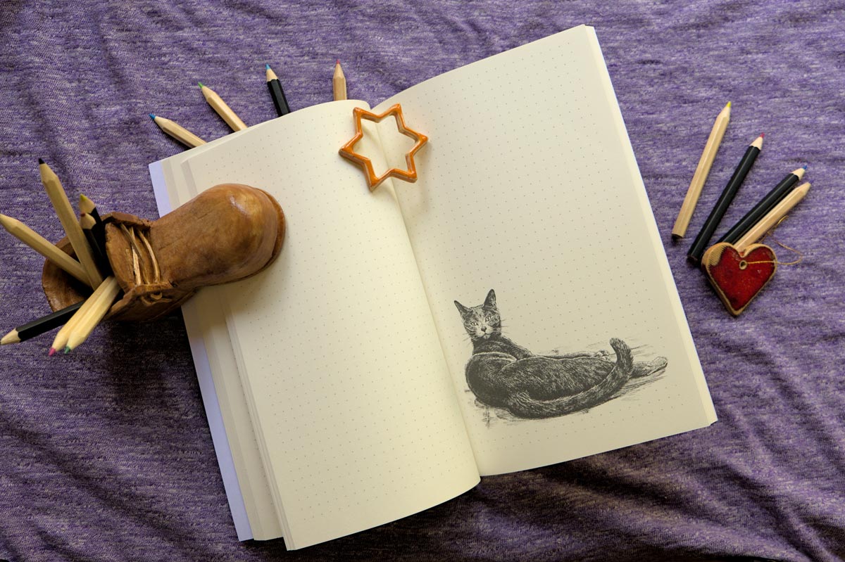 Puss in Books: Notebook with Beautiful Cat Illustrations Inside (A5)