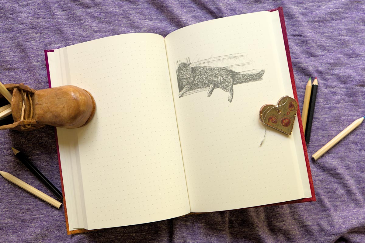 Puss in Books: Notebook with Beautiful Cat Illustrations Inside (A5)