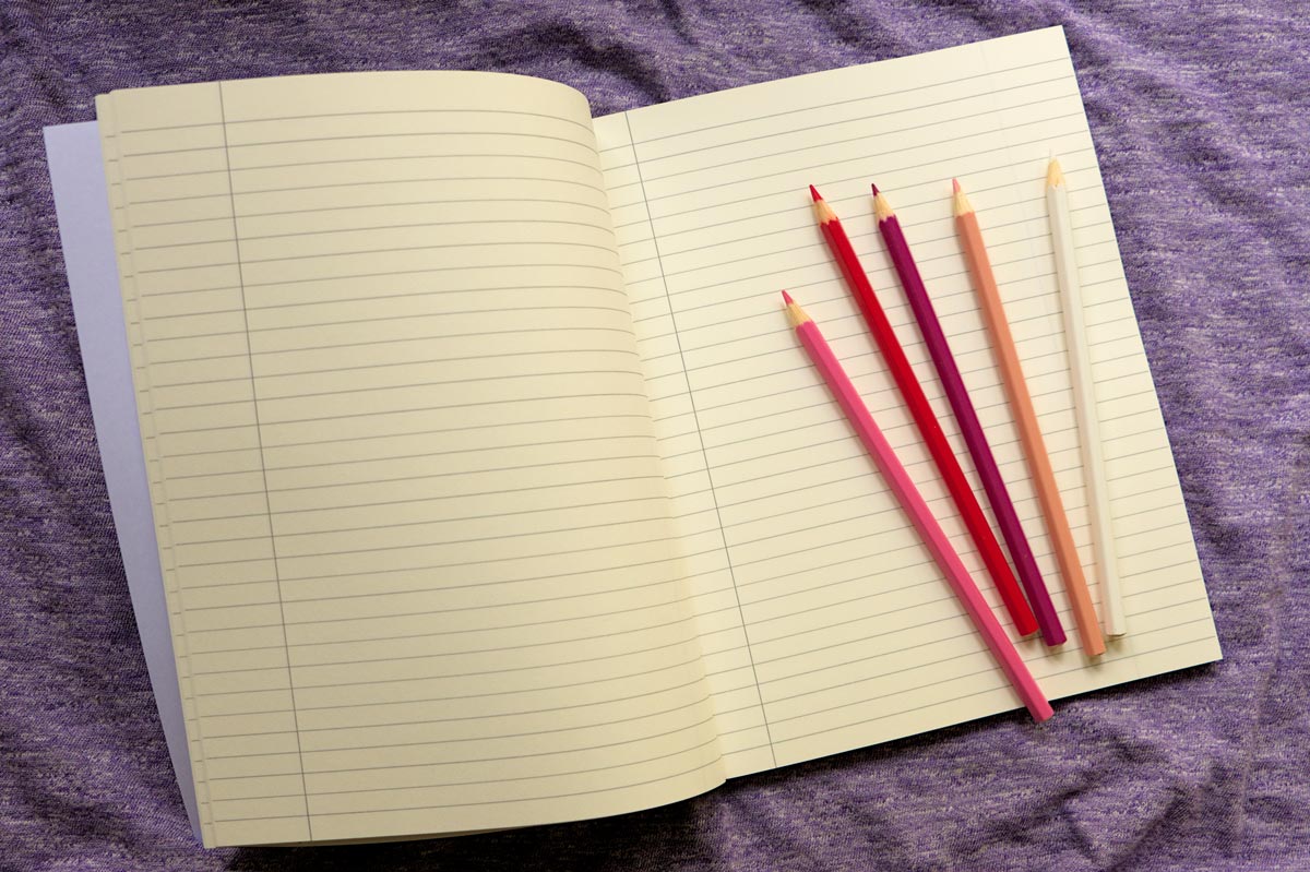 Notes dla miłośników kotów: duży rozmiar, w wąskie linie