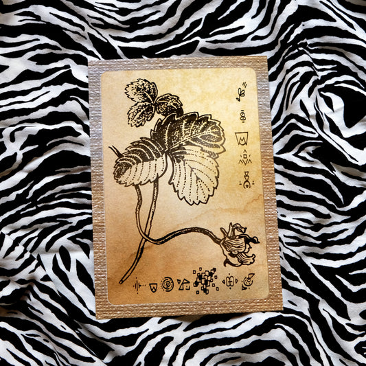 "The Magical World of the Quirky Owl" Postcard No. 3