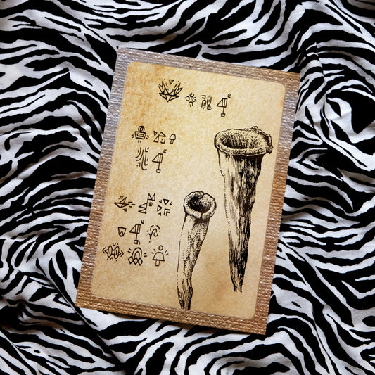 "Quirky Mushrooms" Postcard No. 1