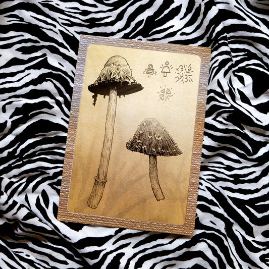 "Quirky Mushrooms" Postcard No. 3