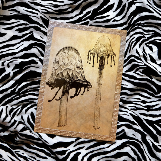 "Quirky Mushrooms" Postcard No. 4