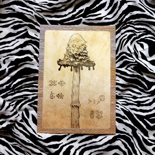 "Quirky Mushrooms" Postcard No. 7