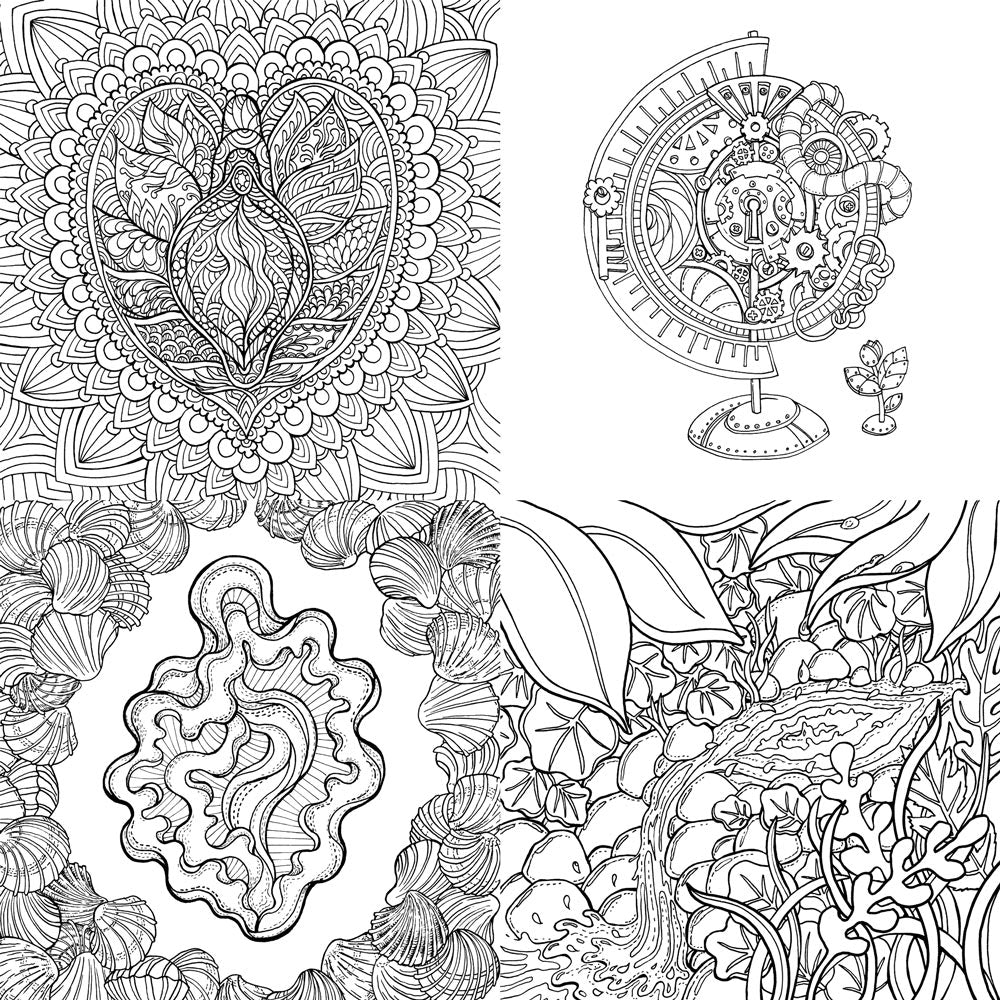 Colors of Yoni BUNDLE: coloring book and notebook!